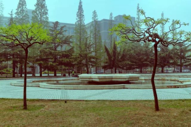 最好的4所理工大学综合实力强大毕业生很受欢迎